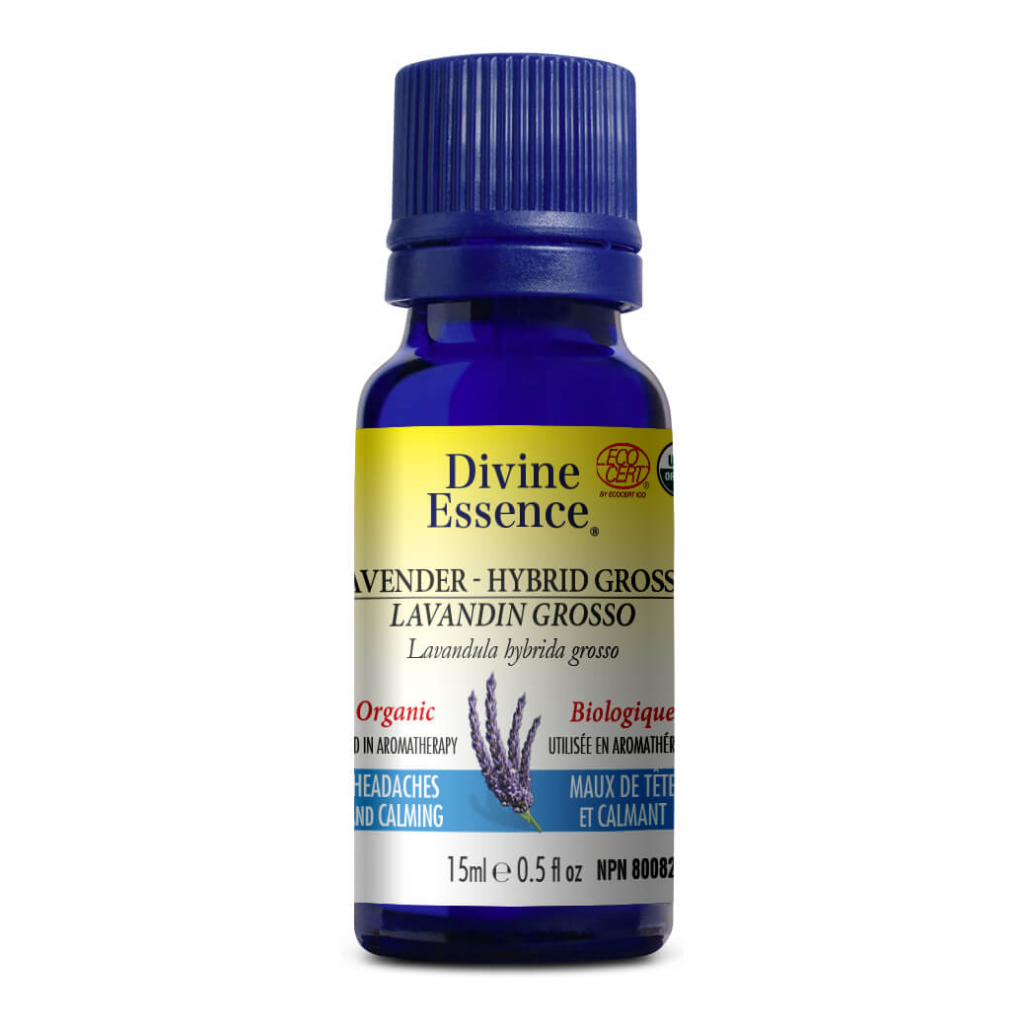 Lavander - Hybrid Grosso (Organic)