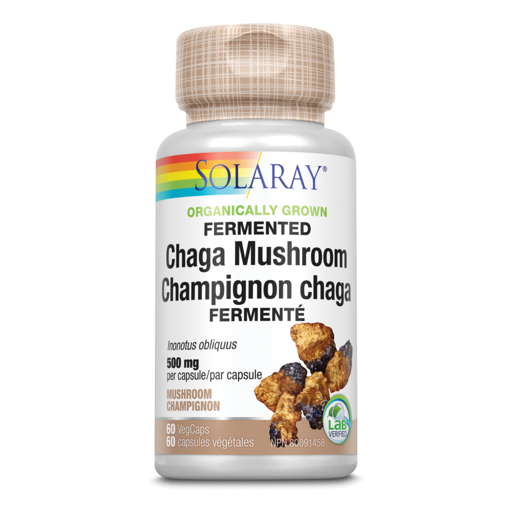 Fermented Chaga Mushroom