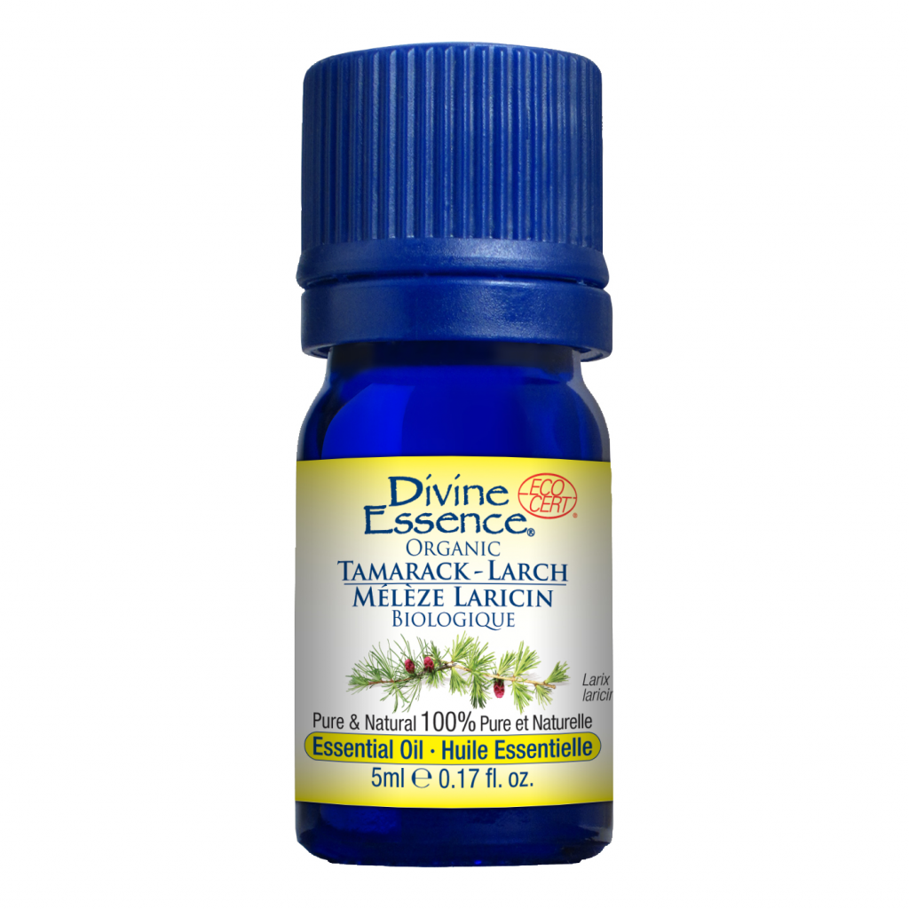 Larch Tamarack (Organic)